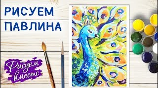 Как нарисовать ПАВЛИНА. Урок рисования поэтапно | Рисуем вместе