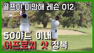 쉽고도 쉬운 기본 어프로치 샷 정리 [골프레슨-골프야 미안해!] EP.012 어프로치 샷