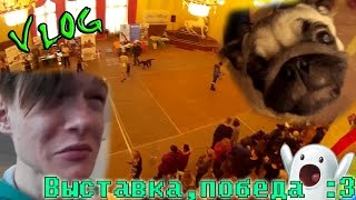 VLOG: Выставка, Победа :3 / Яра Гофер
