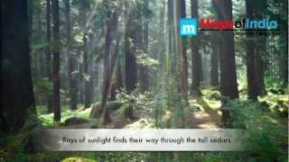 Nature Park Manali