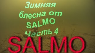 Подледное видео.Зимняя блесна от SALMO. Часть 4.