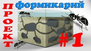 1. Формикарий (муравьиная ферма) своими руками. Проект./Ant farm handmade.Project.