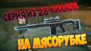 Warface - ЖЁСТКАЯ СЕРИЯ НА МЯСОРУБКЕ 29к1