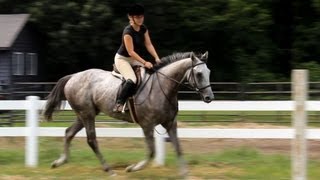 Girl Riding Big Horse