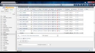 Cara install phpmyadmin di localhost atau web hosting