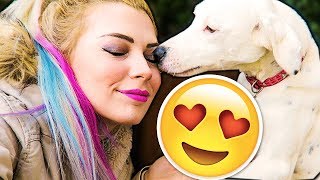 YENİ KEDİM VE KÖPEĞİM İLE TANIŞIN ! VLOG