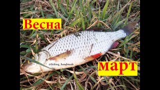 На что ловить рыбу ранней весной