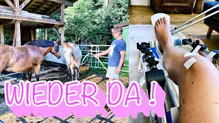 UPDATE I PFERDE DUSCHEN I FINI IST ZU DICK I LISLVLOG #13