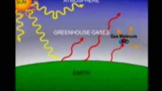 The Greenhouse Effect