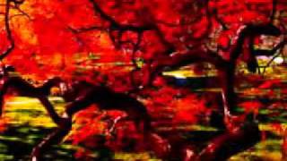 Caravelli orchestre-nostalgie