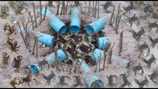 Amazing Boys Use A lot of PVC Pipe With Deep Hole Trap To Catch A Lot of Crabs