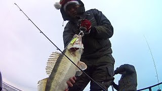 ЖИРНЫЕ СУДАКИ клюют на ВИБЫ перед Новым годом! Рыбалка в мороз и ветер