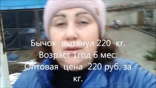 Разделка туши  бычка