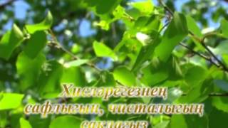 Ильдар Хакимов: караоке «Ак каенга ак каен»