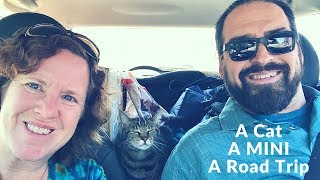 A Cat, a MINI and a Road Trip - The Last Bus Stop in Austin and Return to the Boat