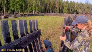 Вылазка в соседнюю деревню. Поход за лесной зеленью