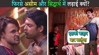 फिरसे असीम और सिद्धार्थ क्यों लाडे । Why Asim and Siddharth Shukla fighting Again