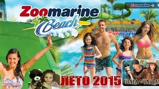 ZOOMARINE Выступление морских котиков Алгаве Португалия