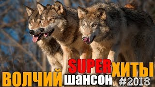 Волчий Шансон 2 - Супер хиты русского шансона