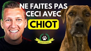 TUTO LES 3 ERREURS DE L'EDUCATION DU CHIOT #60/100