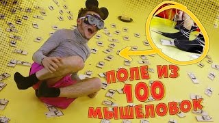МЫШКИ - ПОЛЕ ИЗ 100 МЫШЕЛОВОК
