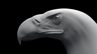Eagle Sculpting TimeLapse Zbrush / Скульптинг орла в Zbrush