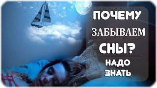 Почему мы забываем сны?