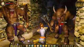 Dungeon Lords 39