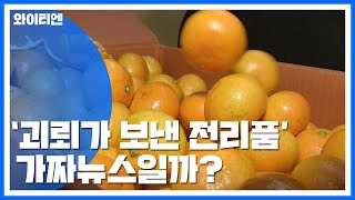 [팩트와이] 귤이 전리품？...'묻지마식' 외신 인용 잇따라 / YTN