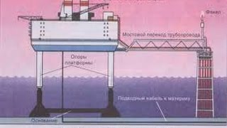 Минеральные ресурсы Мирового Океана: перспективы освоения. Андреев С.И. ВНИИОкеангеология