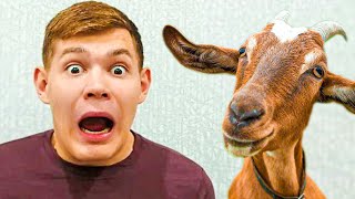 КТО В ДЕТДОМЕ ЖИВОТНОЕ?? (Детский дом) Cool Kids House 13+