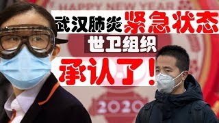 世卫宣布全球卫生紧急状态！武汉肺炎疫情惊现次生灾害！持台湾护照被禁止回台湾！（老北京茶馆/第237集/2020/01/31）