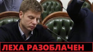 Доигрался! Гончаренко обвинили в разворововании денег на детские площадки