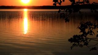 Mike Foyle & Signalrunners - Love Theme Dusk (Avenger Morphosis Chill Out Remix)