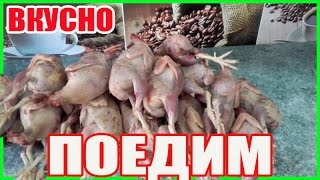 Как замариновать перепелов. Маринад для шашлыка