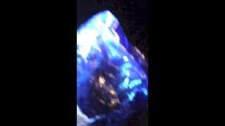 night time scent work for labrador retriever after 1hrs training