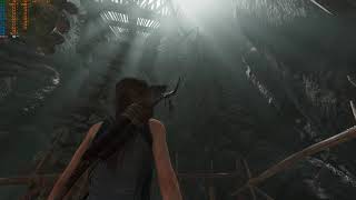 Shadow of the Tomb Raider i7 6700K GTX 1080ti Ultra settings FPS 1440p #3