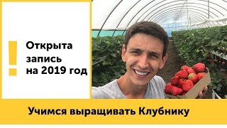 Записывайтесь на Агросопровождение 2019! - Выращивание клубники, теплицы, гидропоника и др.