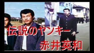 前田日明VS赤井　亀田三兄弟VS赤井！？大阪伝説のヤンキー赤井英和の武勇伝