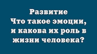 Развитие. Что такое эмоции, и какова их роль в жизни человека?
