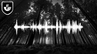 4 Mysterious And Bizarre Audio Recordings