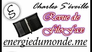 Revue de mes 2 planners filofax !