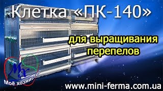Клетка для перепелов