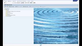 SAP LSMW для начинающих.