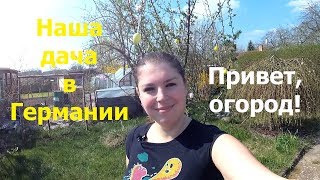 Наша дача в Германии / Начинаем посадку