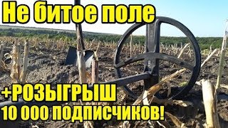 ЖИРНОЕ ПОЛЕ! + ЦЕННЫЕ ПРИЗЫ!  Коп лето 2019 . Поиск монет