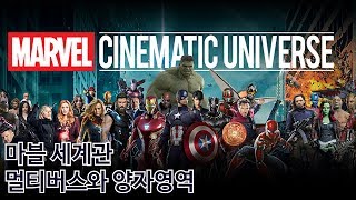 [MCU 마블세계관 1편] 멀티버스 및 양자영역 총정리(Feat. 양자역학)