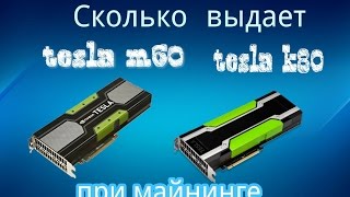 Сколько выдает Nvidia tesla m60 и k80 при майнинге Nicehash miner