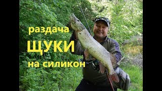 Раздача щуки на силикон