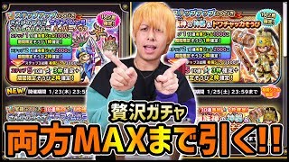 【星ドラ】超贅沢！二種類のピックアップガチャをMAXまで引く！【ぎこちゃん】